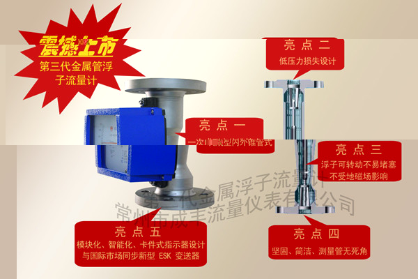 金屬管浮子流量計(jì)